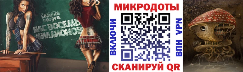 Псилоцибиновые грибы Psilocybe  Купить закладки  Сергач 